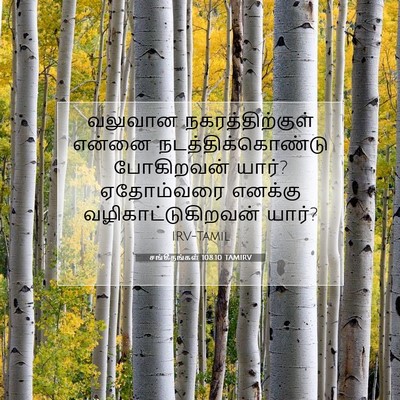 Picture 07 - சங்கீதங்கள் 108:10 TAMIRV - வலுவான - Bible Verse Picture