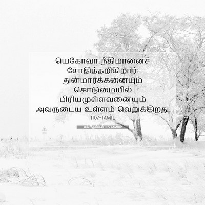 Picture 07 - சங்கீதங்கள் 11:5 TAMIRV - யெகோவா நீதிமானைச் - Bible Verse Picture
