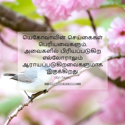 Picture 07 - சங்கீதங்கள் 111:2 TAMIRV - யெகோவாவின் - Bible Verse Picture