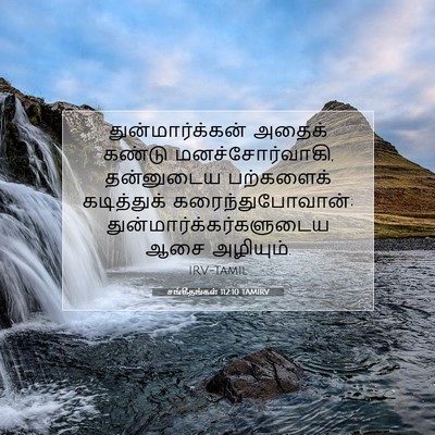Picture 07 - சங்கீதங்கள் 112:10 TAMIRV - துன்மார்க்கன் - Bible Verse Picture