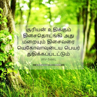 Picture 07 - சங்கீதங்கள் 113:3 TAMIRV - சூரியன் உதிக்கும் - Bible Verse Picture