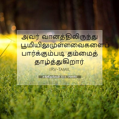 Picture 07 - சங்கீதங்கள் 113:6 TAMIRV - அவர் - Bible Verse Picture
