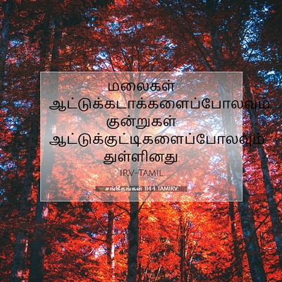 Picture 07 - சங்கீதங்கள் 114:4 TAMIRV - மலைகள் - Bible Verse Picture