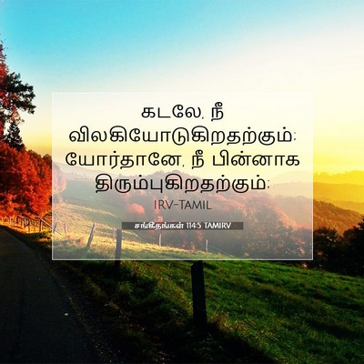 Picture 07 - சங்கீதங்கள் 114:5 TAMIRV - கடலே, நீ - Bible Verse Picture
