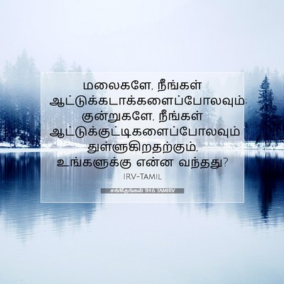 Picture 07 - சங்கீதங்கள் 114:6 TAMIRV - மலைகளே, நீங்கள் - Bible Verse Picture