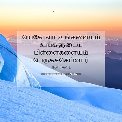 Picture 07 - சங்கீதங்கள் 115:14 TAMIRV - யெகோவா உங்களையும் - Bible Verse Picture
