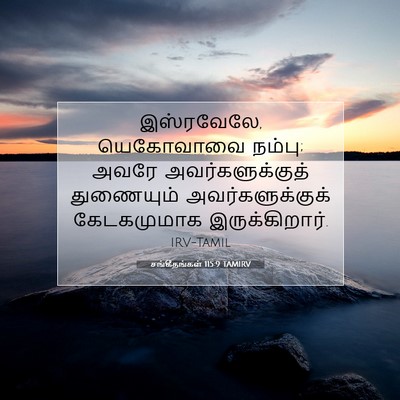 Picture 07 - சங்கீதங்கள் 115:9 TAMIRV - இஸ்ரவேலே, - Bible Verse Picture