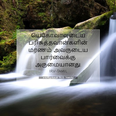 Picture 07 - சங்கீதங்கள் 116:15 TAMIRV - யெகோவாவுடைய - Bible Verse Picture