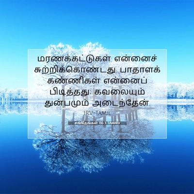 Picture 07 - சங்கீதங்கள் 116:3 TAMIRV - மரணக்கட்டுகள் - Bible Verse Picture