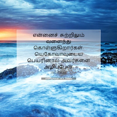 Picture 07 - சங்கீதங்கள் 118:11 TAMIRV - என்னைச் - Bible Verse Picture