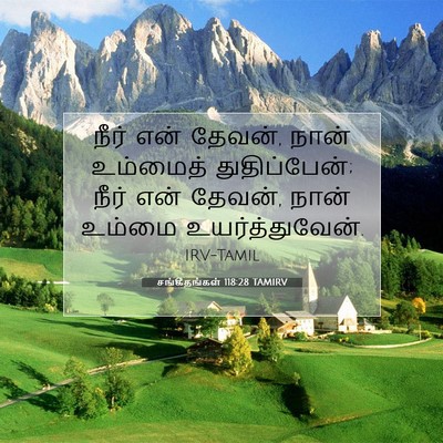 Picture 07 - சங்கீதங்கள் 118:28 TAMIRV - நீர் என் தேவன், - Bible Verse Picture