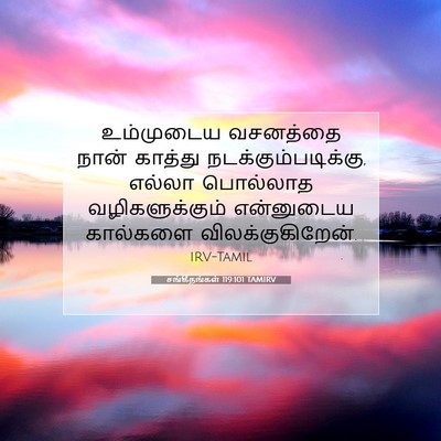 Picture 07 - சங்கீதங்கள் 119:101 TAMIRV - உம்முடைய வசனத்தை - Bible Verse Picture