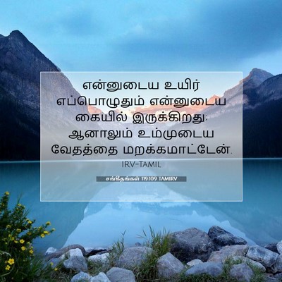 Picture 07 - சங்கீதங்கள் 119:109 TAMIRV - என்னுடைய உயிர் - Bible Verse Picture