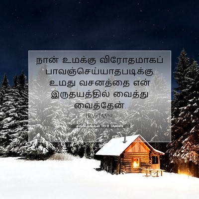 Picture 07 - சங்கீதங்கள் 119:11 TAMIRV - நான் உமக்கு - Bible Verse Picture
