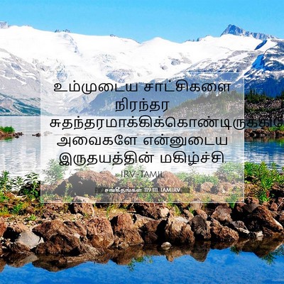 Picture 07 - சங்கீதங்கள் 119:111 TAMIRV - உம்முடைய - Bible Verse Picture