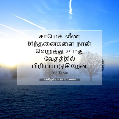Picture 07 - சங்கீதங்கள் 119:113 TAMIRV - சாமெக். வீண் - Bible Verse Picture