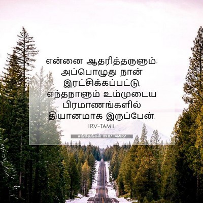 Picture 07 - சங்கீதங்கள் 119:117 TAMIRV - என்னை - Bible Verse Picture