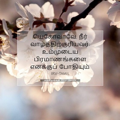 Picture 07 - சங்கீதங்கள் 119:12 TAMIRV - யெகோவாவே, நீர் - Bible Verse Picture