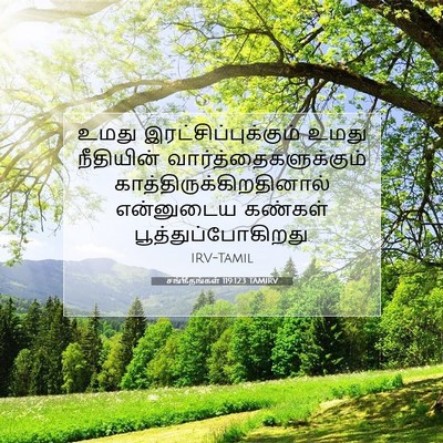 Picture 07 - சங்கீதங்கள் 119:123 TAMIRV - உமது - Bible Verse Picture