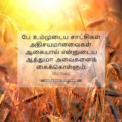 Picture 07 - சங்கீதங்கள் 119:129 TAMIRV - பே. உம்முடைய - Bible Verse Picture