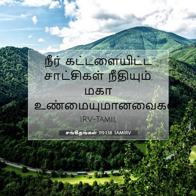 Picture 07 - சங்கீதங்கள் 119:138 TAMIRV - நீர் கட்டளையிட்ட - Bible Verse Picture