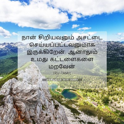 Picture 07 - சங்கீதங்கள் 119:141 TAMIRV - நான் சிறியவனும் - Bible Verse Picture