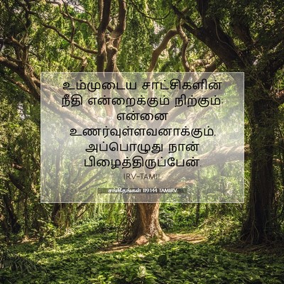 Picture 07 - சங்கீதங்கள் 119:144 TAMIRV - உம்முடைய - Bible Verse Picture