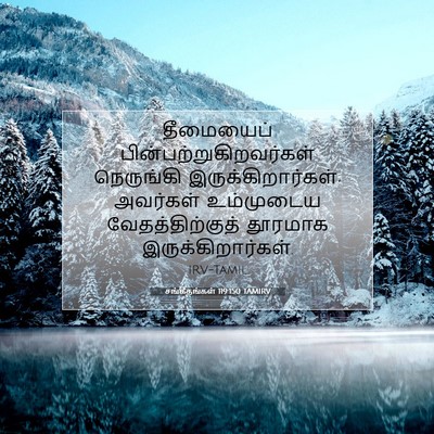 Picture 07 - சங்கீதங்கள் 119:150 TAMIRV - தீமையைப் - Bible Verse Picture