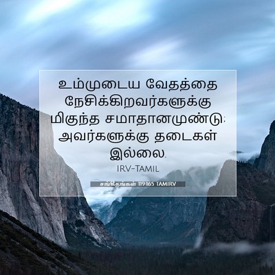 Picture 07 - சங்கீதங்கள் 119:165 TAMIRV - உம்முடைய வேதத்தை - Bible Verse Picture