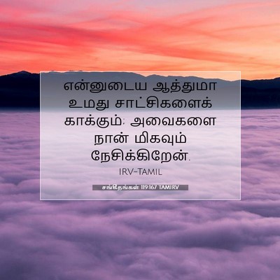 Picture 07 - சங்கீதங்கள் 119:167 TAMIRV - என்னுடைய ஆத்துமா - Bible Verse Picture