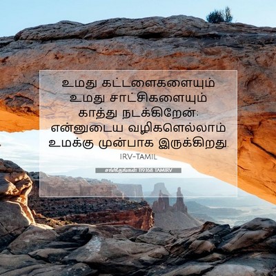 Picture 07 - சங்கீதங்கள் 119:168 TAMIRV - உமது - Bible Verse Picture