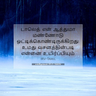 Picture 07 - சங்கீதங்கள் 119:25 TAMIRV - டாலெத். என் - Bible Verse Picture