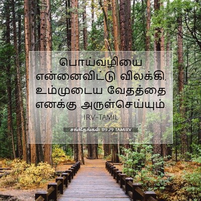 Picture 07 - சங்கீதங்கள் 119:29 TAMIRV - பொய்வழியை - Bible Verse Picture