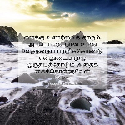 Picture 07 - சங்கீதங்கள் 119:34 TAMIRV - எனக்கு உணர்வைத் - Bible Verse Picture