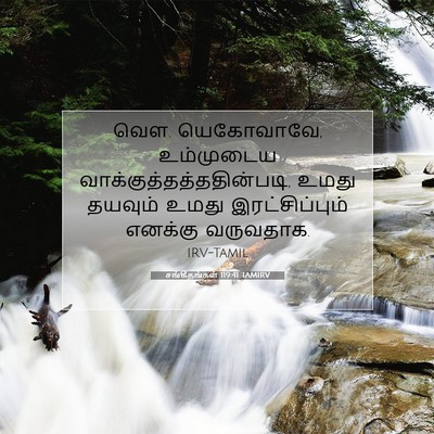 Picture 07 - சங்கீதங்கள் 119:41 TAMIRV - வௌ. யெகோவாவே, - Bible Verse Picture