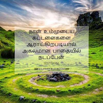 Picture 07 - சங்கீதங்கள் 119:45 TAMIRV - நான் உம்முடைய - Bible Verse Picture