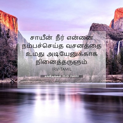 Picture 07 - சங்கீதங்கள் 119:49 TAMIRV - சாயீன். நீர் என்னை - Bible Verse Picture