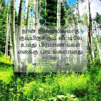 Picture 07 - சங்கீதங்கள் 119:54 TAMIRV - நான் நிலையில்லாத - Bible Verse Picture