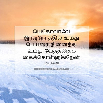 Picture 07 - சங்கீதங்கள் 119:55 TAMIRV - யெகோவாவே, - Bible Verse Picture