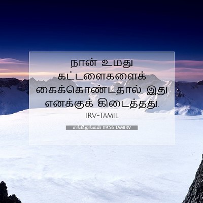 Picture 07 - சங்கீதங்கள் 119:56 TAMIRV - நான் உமது - Bible Verse Picture
