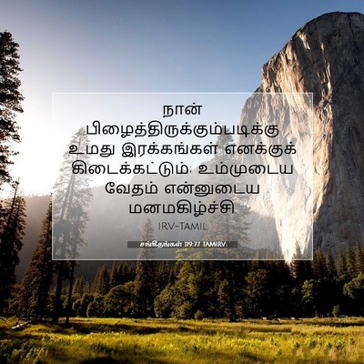 Picture 07 - சங்கீதங்கள் 119:77 TAMIRV - நான் - Bible Verse Picture