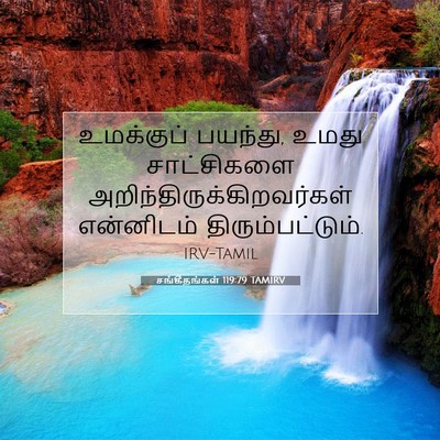 Picture 07 - சங்கீதங்கள் 119:79 TAMIRV - உமக்குப் பயந்து, - Bible Verse Picture