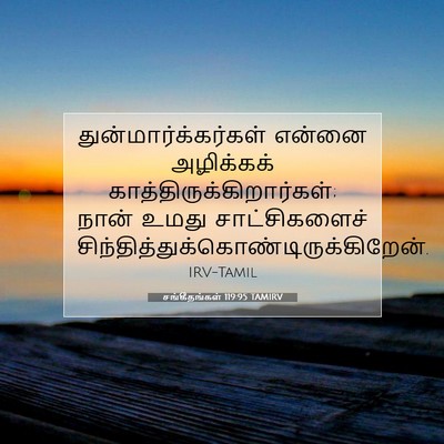 Picture 07 - சங்கீதங்கள் 119:95 TAMIRV - துன்மார்க்கர்கள் - Bible Verse Picture