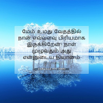 Picture 07 - சங்கீதங்கள் 119:97 TAMIRV - மேம். உமது - Bible Verse Picture