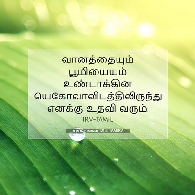 Picture 07 - சங்கீதங்கள் 121:2 TAMIRV - வானத்தையும் - Bible Verse Picture