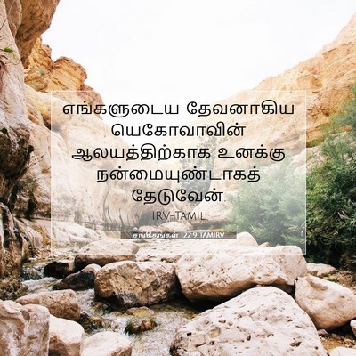 Picture 07 - சங்கீதங்கள் 122:9 TAMIRV - எங்களுடைய - Bible Verse Picture