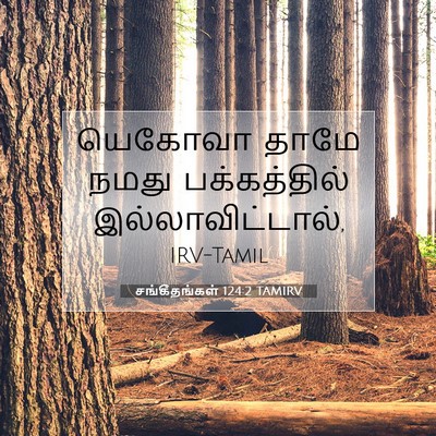 Picture 07 - சங்கீதங்கள் 124:2 TAMIRV - யெகோவா தாமே நமது - Bible Verse Picture
