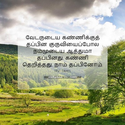 Picture 07 - சங்கீதங்கள் 124:7 TAMIRV - வேடருடைய - Bible Verse Picture
