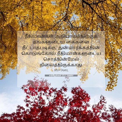 Picture 07 - சங்கீதங்கள் 125:3 TAMIRV - நீதிமான்கள் - Bible Verse Picture