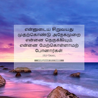 Picture 07 - சங்கீதங்கள் 129:2 TAMIRV - என்னுடைய சிறுவயது - Bible Verse Picture